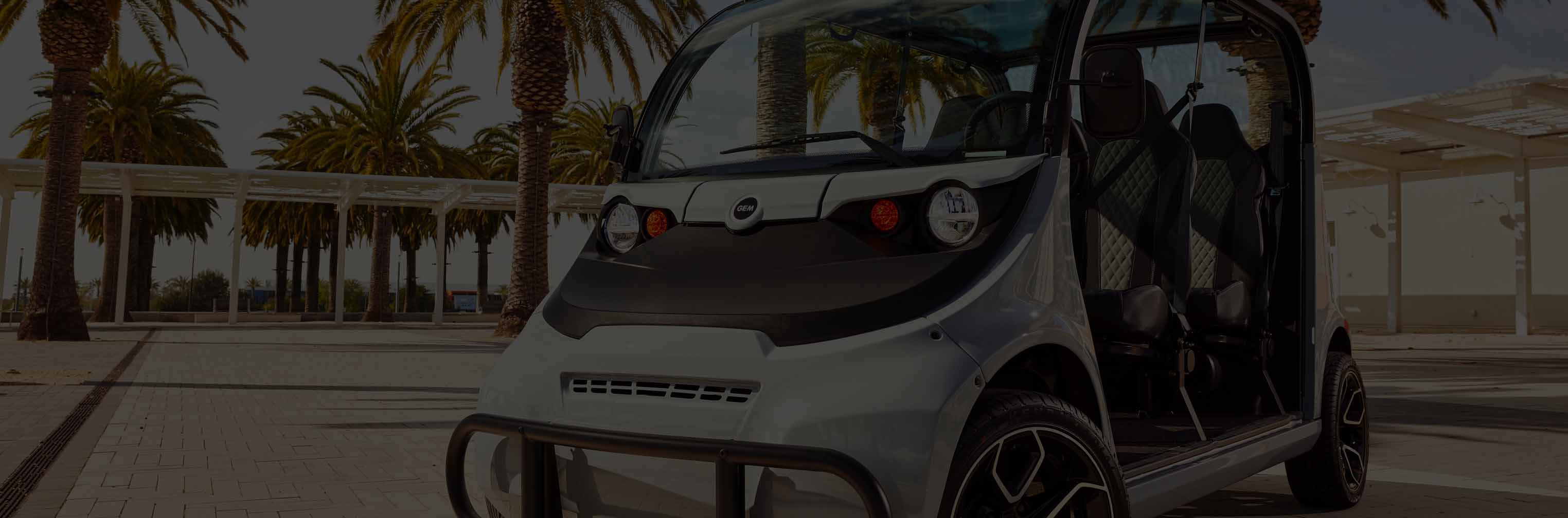 gem electric vehicles parked in front of palm trees