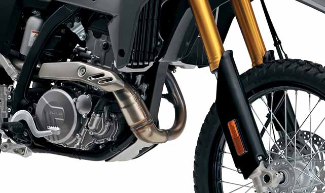 Front Shocks