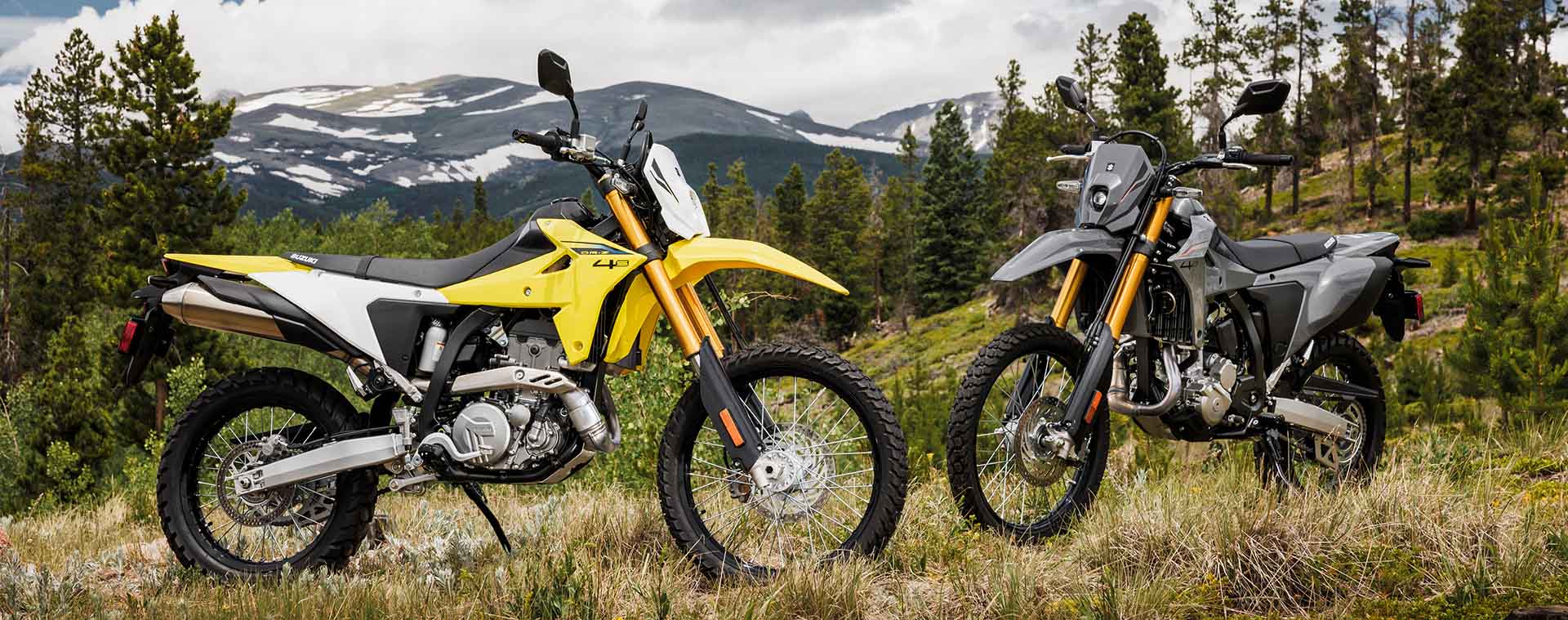 Pair of 2025 Suzuki DR-Z4S